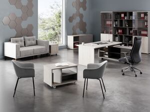 Кабинет руководителя Vilas