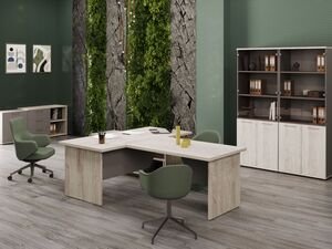 Кабинет руководителя Vilas