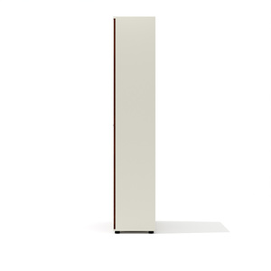 Шкаф-гардероб с выдвижной штангой