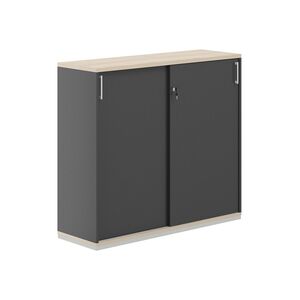 Шкаф-купе 3 уровня 1238